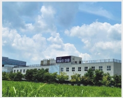  2024Ÿ��77977  ����Ʈ��������