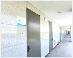  2024Ÿ��77977  ����Ʈ��������