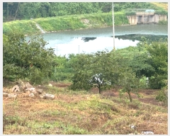  2024Ÿ��78130  ����