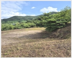  2024Ÿ��78130  ����