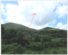  2024Ÿ��78383 ���� �强�� Ȳ��� Ȳ�渮 114      ����(����)���