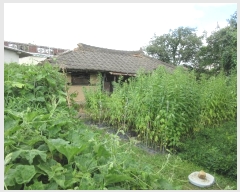  2024Ÿ��78383 ���� �强�� Ȳ��� Ȳ�渮 114      ����(����)���