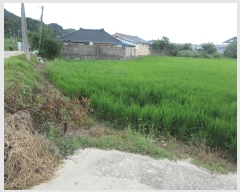  2024Ÿ��78383 ���� �强�� Ȳ��� Ȳ�渮 114      ����(����)���