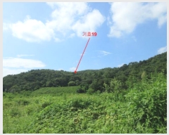  2024Ÿ��78383 ���� �强�� Ȳ��� Ȳ�渮 114      ����(����)���