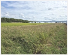  2024Ÿ��79249  ����