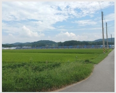  2024Ÿ��79249  ����