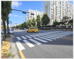  2024Ÿ��79775  ����Ʈ���