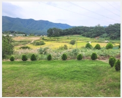  2024Ÿ��81471  �����