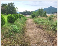  2024Ÿ��81471  �����