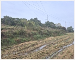  2024Ÿ��81471  �����