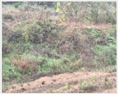  2024Ÿ��81471  �����