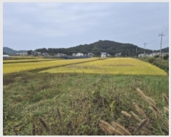  2024Ÿ��81853 ���� ��籺 ���ϸ� ������ 313-19      ����(��)���