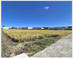  2024Ÿ��82177 ���� �ϱ� ���ߵ� 804-10       ����(��)���