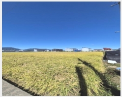  2024Ÿ��82177 ���� �ϱ� ���ߵ� 804-10       ����(��)���