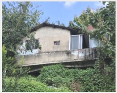  2024Ÿ��82818 ���� ���� �е� 593-2       ����(����)���