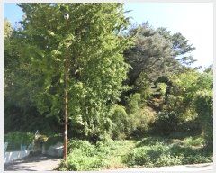  2024Ÿ��84814 ���� ��籺 ����� �簢�� 86-4      ����(�Ӿ�)���