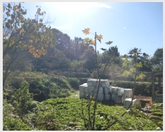  2024Ÿ��84814 ���� ��籺 ����� �簢�� 86-4      ����(�Ӿ�)���