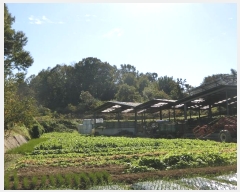  2024Ÿ��84814 ���� ��籺 ����� �簢�� 86-4      ����(�Ӿ�)���