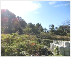  2024Ÿ��84814 ���� ��籺 ����� �簢�� 86-4      ����(�Ӿ�)���