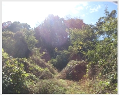  2024Ÿ��84814 ���� ��籺 ����� �簢�� 86-4      ����(�Ӿ�)���