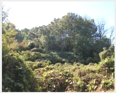  2024Ÿ��84814 ���� ��籺 ����� �簢�� 86-4      ����(�Ӿ�)���