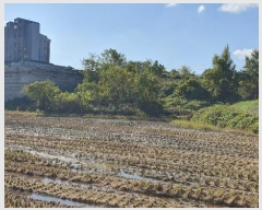  2024Ÿ��85145 ���� ��� ����� �� 72-3      ����(��1)���