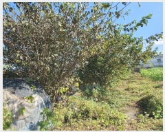  2024Ÿ��85145 ���� ��� ����� �� 72-3      ����(��1)���