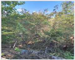  2024Ÿ��85145 ���� ��� ����� �� 72-3      ����(��1)���