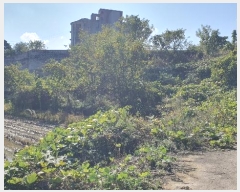  2024Ÿ��85145 ���� ��� ����� �� 72-3      ����(��1)���