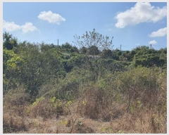  2024Ÿ��85145 ���� ��� ����� �� 72-3      ����(��1)���