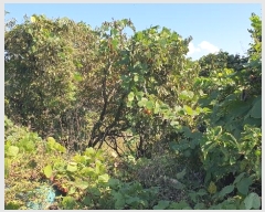  2024Ÿ��85145 ���� ��� ����� �� 72-3      ����(��1)���