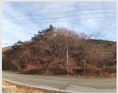  2024Ÿ��85329 ���� ��籺 ����� ��ϸ� ��138      ����(�Ӿ�)���