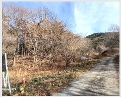  2024Ÿ��85329 ���� ��籺 ����� ��ϸ� ��138      ����(�Ӿ�)���