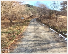  2024Ÿ��85329 ���� ��籺 ����� ��ϸ� ��138      ����(�Ӿ�)���