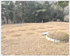  2024Ÿ��85329 ���� ��籺 ����� ��ϸ� ��138      ����(�Ӿ�)���