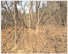  2024Ÿ��85329 ���� ��籺 ����� ��ϸ� ��138      ����(�Ӿ�)���