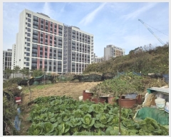  2024Ÿ��85541 ���� ���� ���굿 586       ����(��1)���