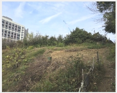  2024Ÿ��85541 ���� ���� ���굿 586       ����(��1)���