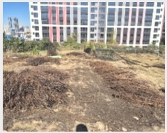  2024Ÿ��85541 ���� ���� ���굿 586       ����(��1)���