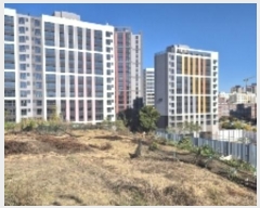  2024Ÿ��85541 ���� ���� ���굿 586       ����(��1)���