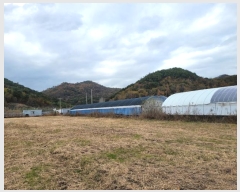  2024Ÿ��86155  ����