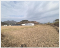  2024Ÿ��86155  ����