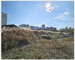  2024Ÿ86438  걸  941-2       (1)