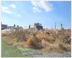  2024Ÿ86438  걸  941-2       (1)