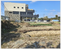  2024Ÿ86438  걸  941-2       (1)