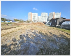  2024Ÿ86438  걸  941-2       (1)