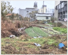  2024Ÿ86438  걸  941-2       (1)