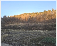  2024Ÿ��88076  �Ӿ߰��