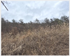  2024Ÿ��88076  �Ӿ߰��