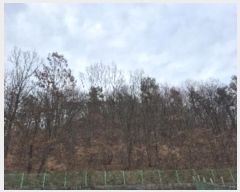  2024Ÿ��88076  �Ӿ߰��